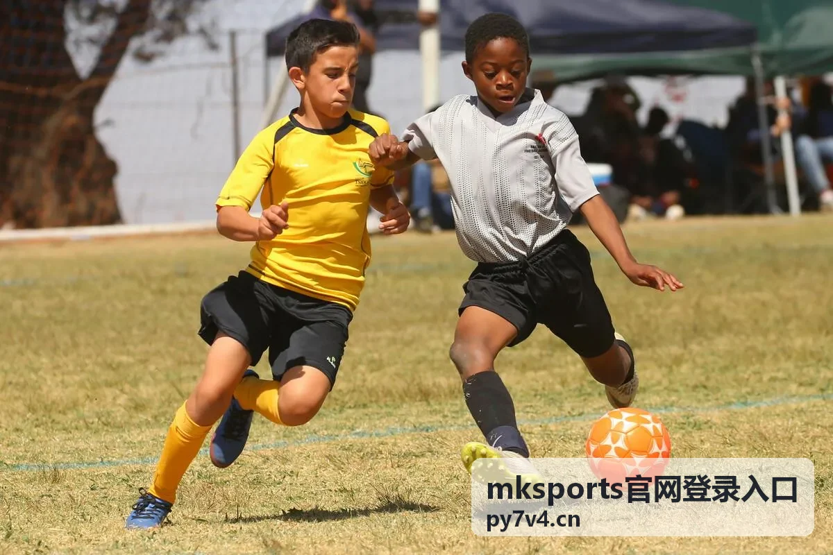 mksports官网登录入口账号安全校验说明
