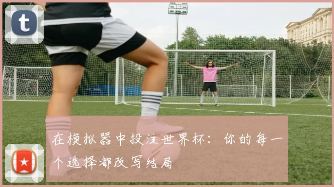 在模拟器中投注世界杯：你的每一个选择都改写结局