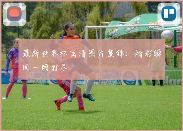 最新世界杯高清图片集锦：精彩瞬间一网打尽