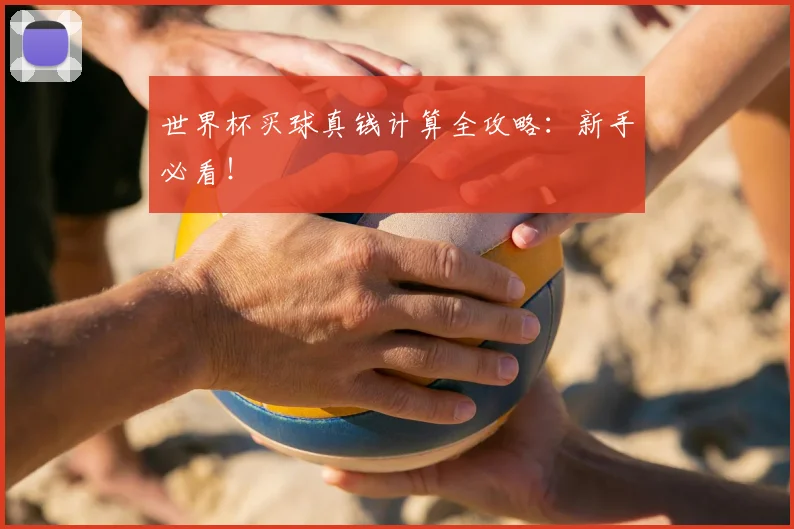 世界杯买球真钱计算全攻略:新手必看!