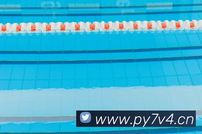 九游j9官方网站入口平台生态图