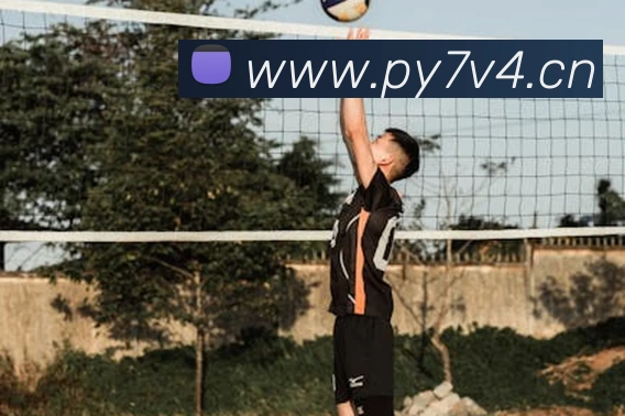 九游j9官方网站入口全站App